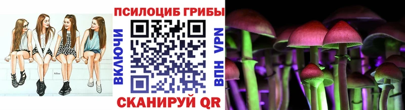 Псилоцибиновые грибы GOLDEN TEACHER  Купить где  Чишмы 